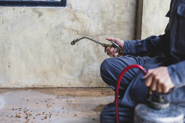 Reliable Coweta, OK Pest Control Solutions
